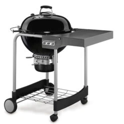 Barbecue Weber Performer GBS