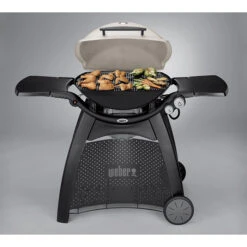 Mobilier De Jardin -Mobilier De Jardin barbecue weber q 3000 titanium 11